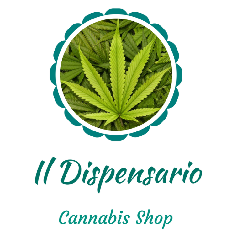 il dispensario cannabis shop