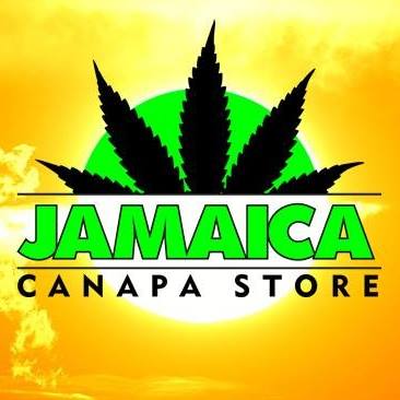 jamaica canapa shop