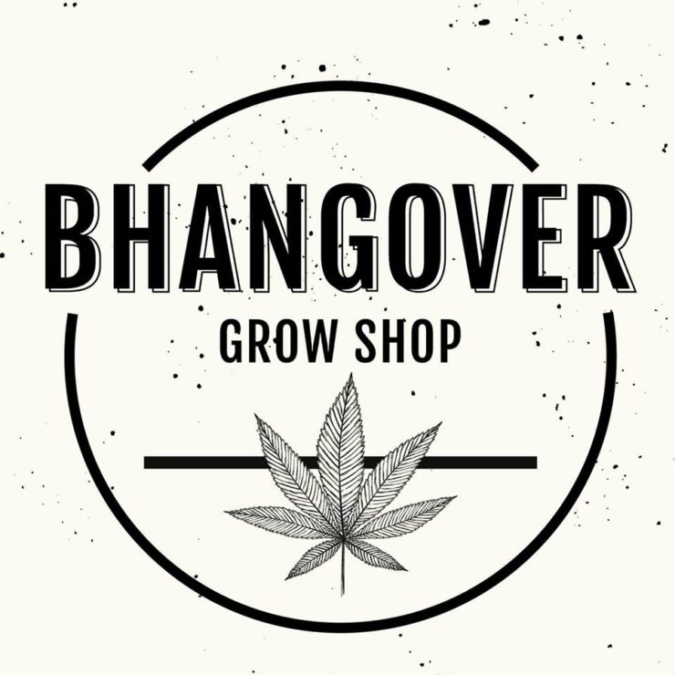 cbd store vigevano