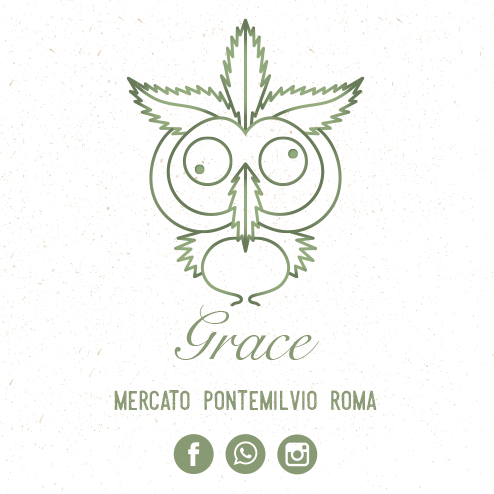 Grace | Roma