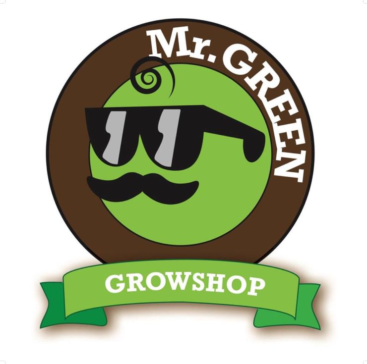 Mr. Green | Bassano del Grappa