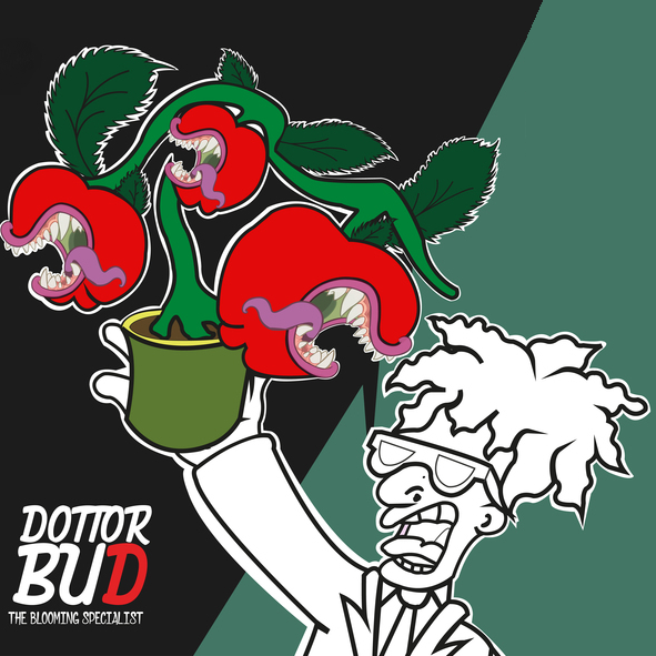 Dottor Bud Agrigento